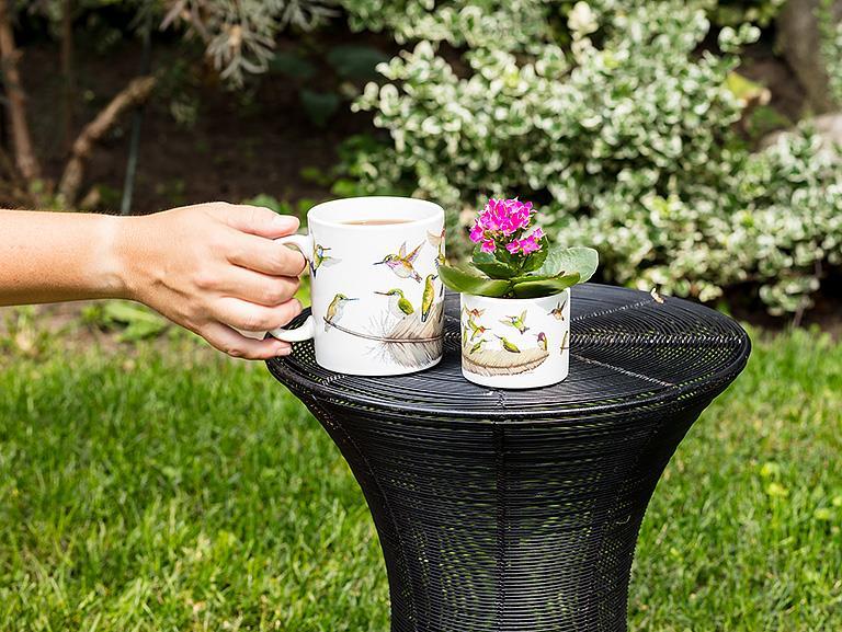 Hummingbirds Jumbo Mug