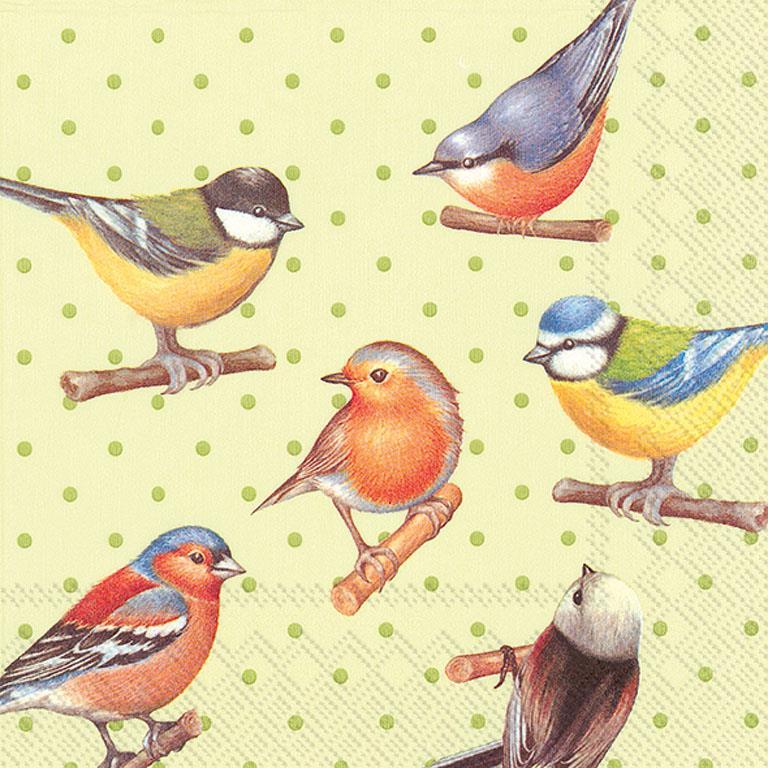 Cocktail Birds on Dots Napkins
