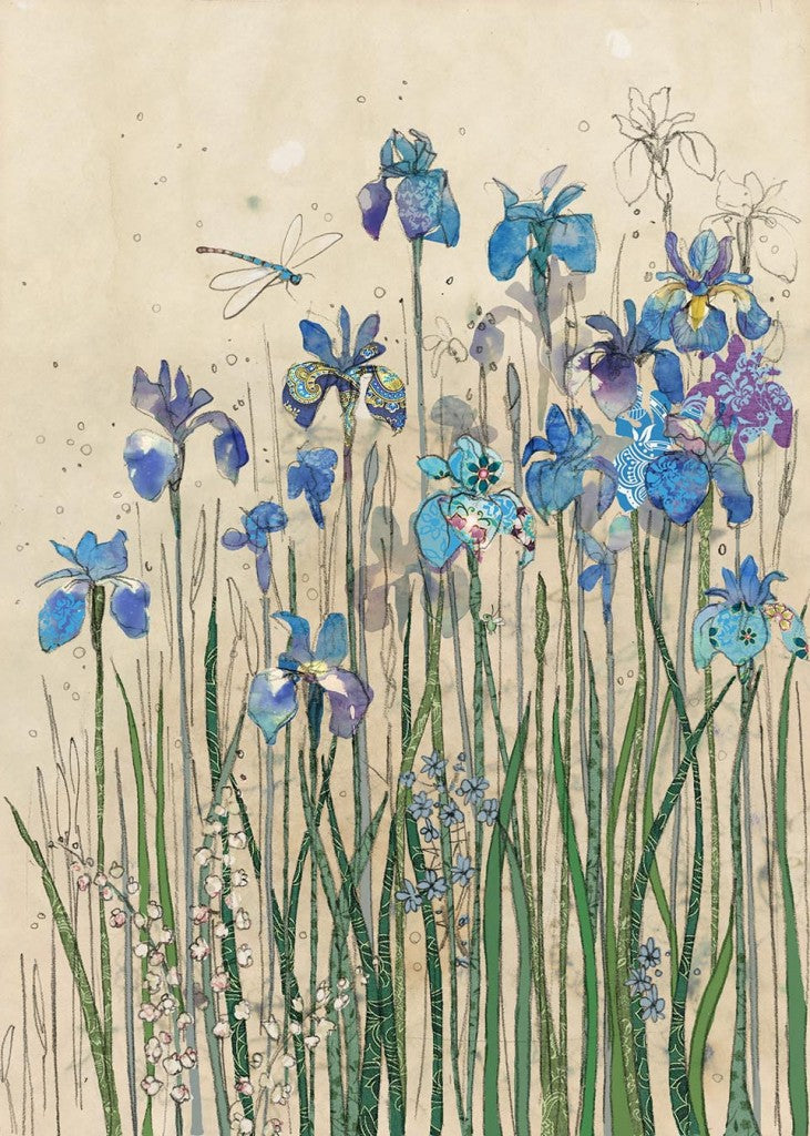 BA Iris Border Card