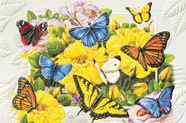 PP Birthday Card Butterfly Banquet