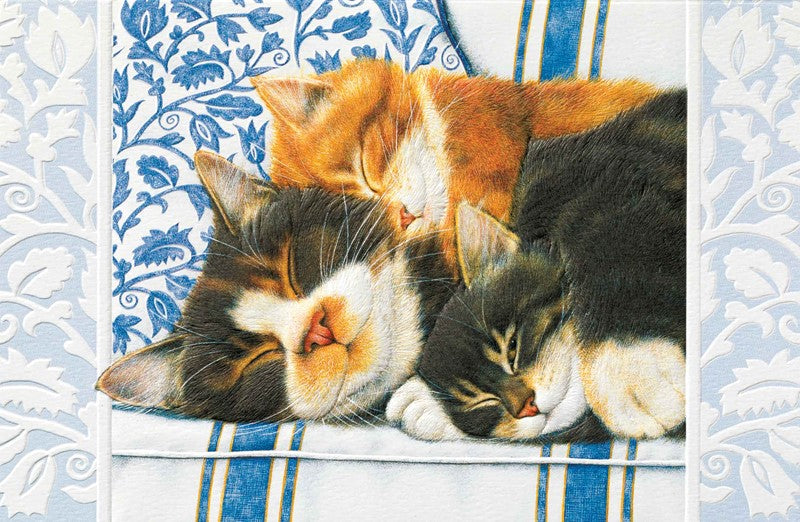 PP Birthday Card Sleepy Kitties