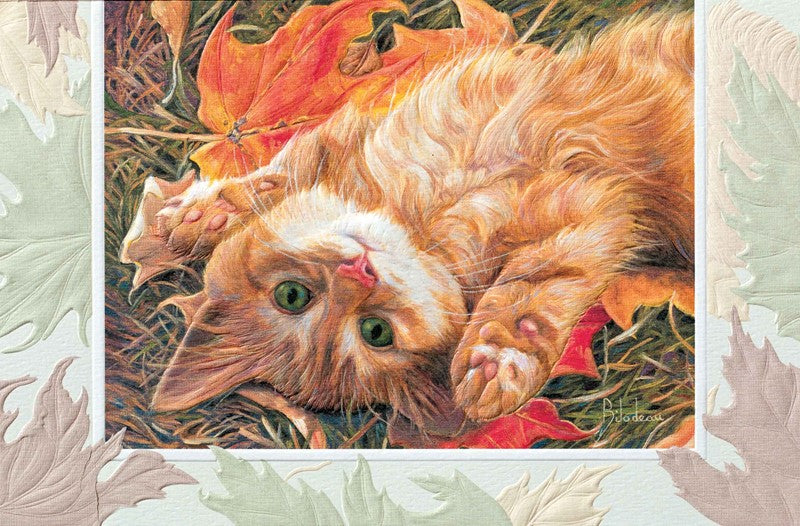 PP Birthday Card Carefree