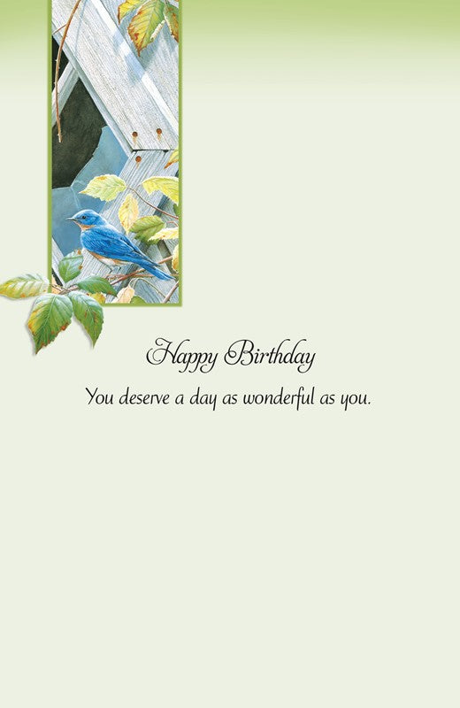 PP Birthday Card Sapphire And Diamonds