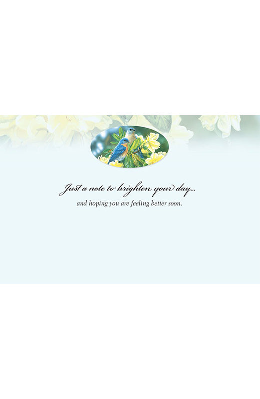 PP Get Well Card Bluebirds In Rhododendren