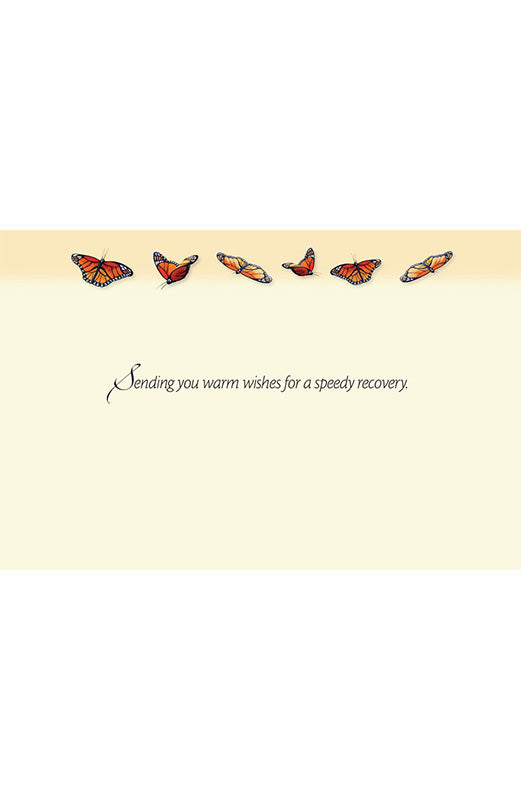 PP Get Well Card Fire Island Monarchs