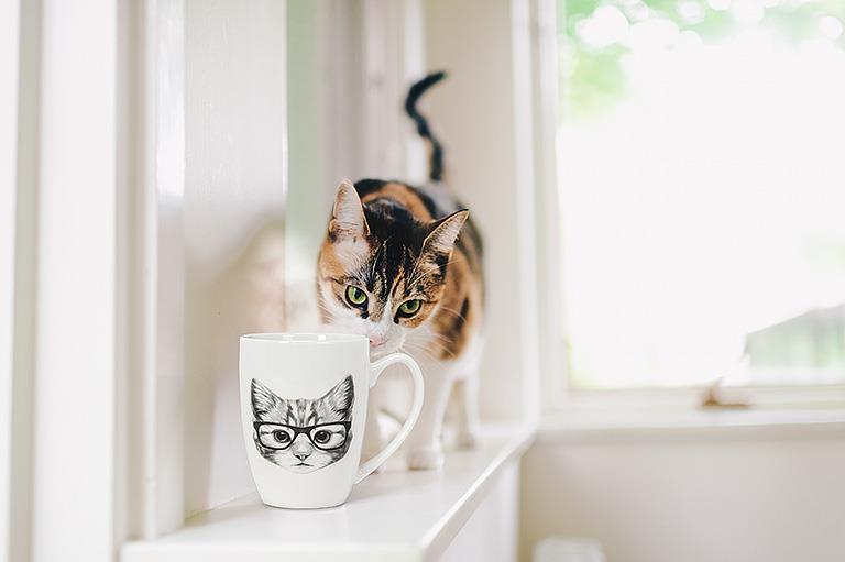 Pen & Ink Cat Mug