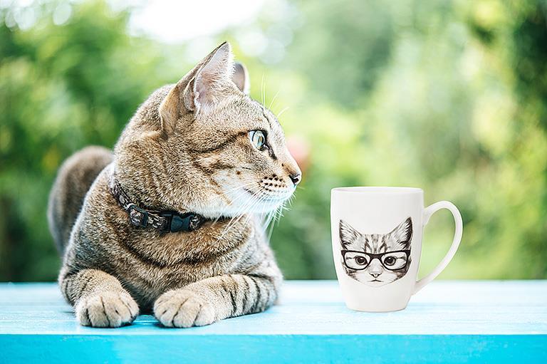 Pen & Ink Cat Mug