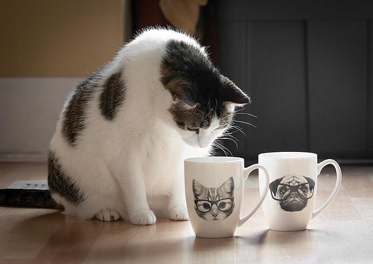 Pen & Ink Cat Mug