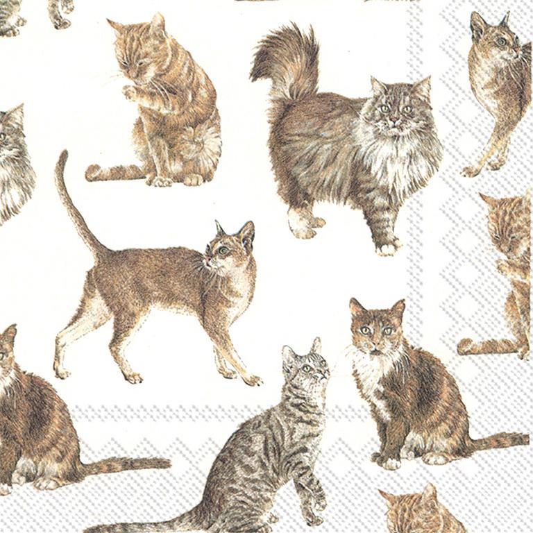 Luncheon My Favorite Cat Napkins