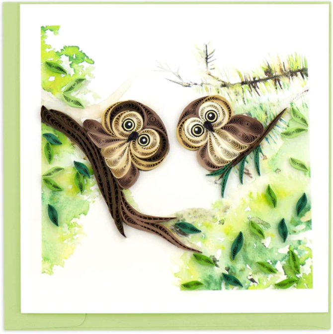 Quilled Owlets Greeting Card