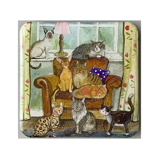 Cats in House Magnet