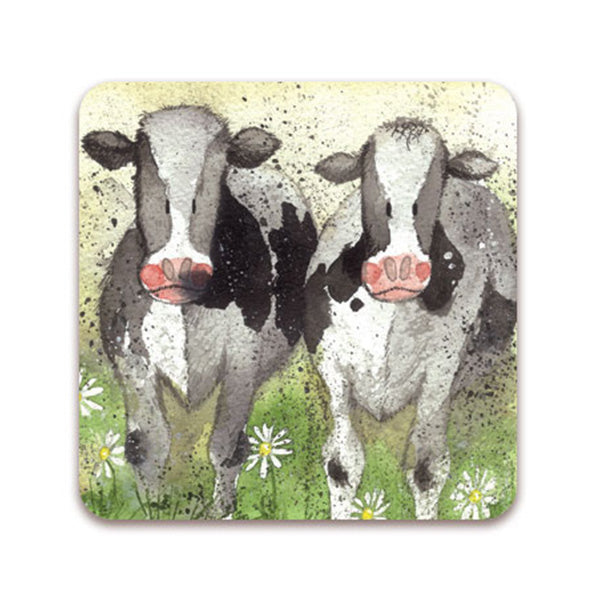 Curious Cows Magnet