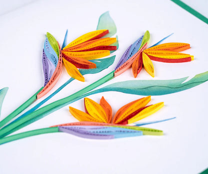 Quilled Bird of Paradise Greeting Card