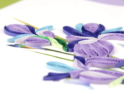 Quilled Purple Iris Greeting Card