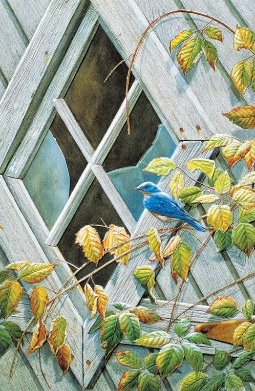 PP Birthday Card Sapphire And Diamonds