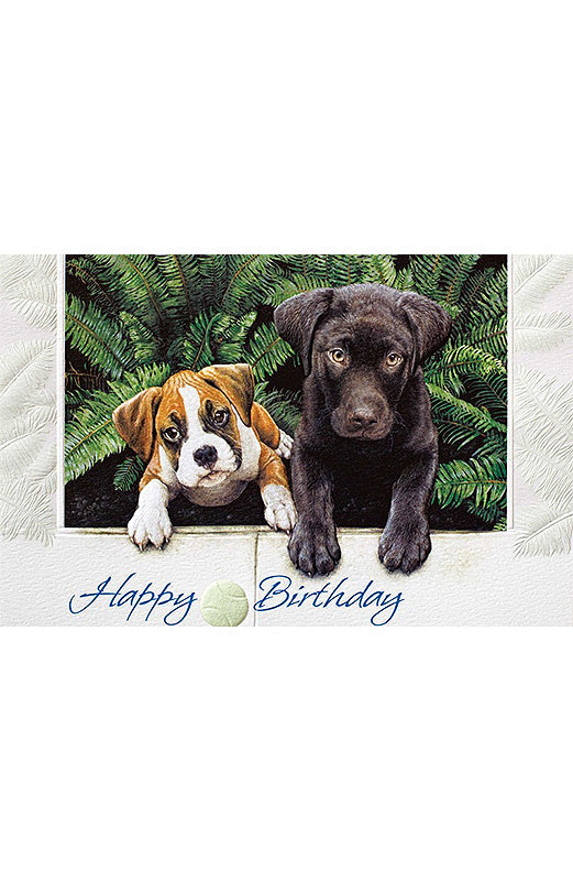 PP Birthday Card Good Neighbours