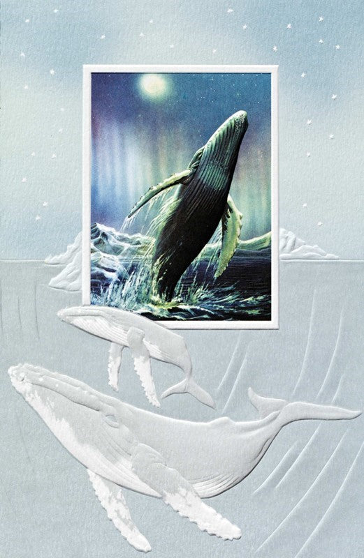 PP Birthday Card Humpback Whale